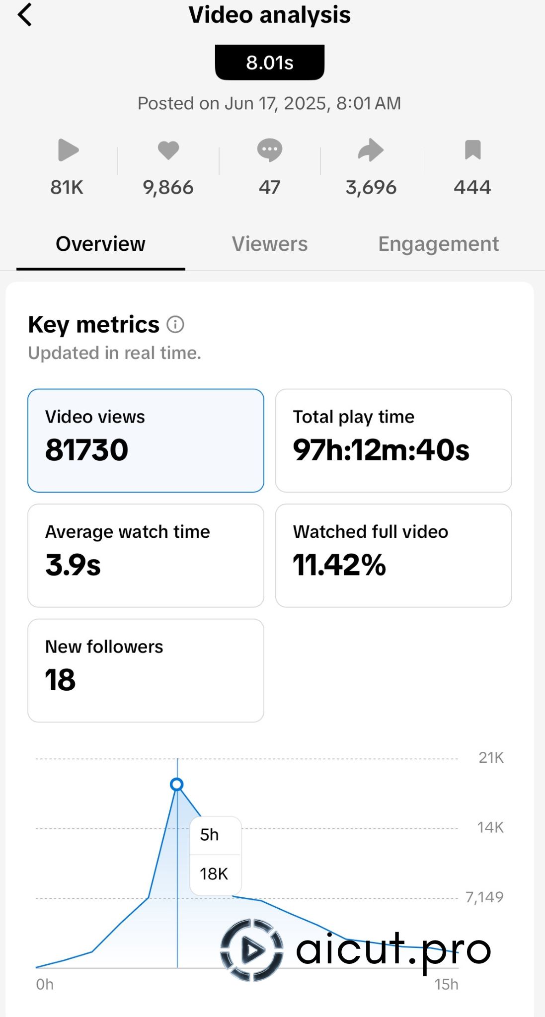 faceless video views results