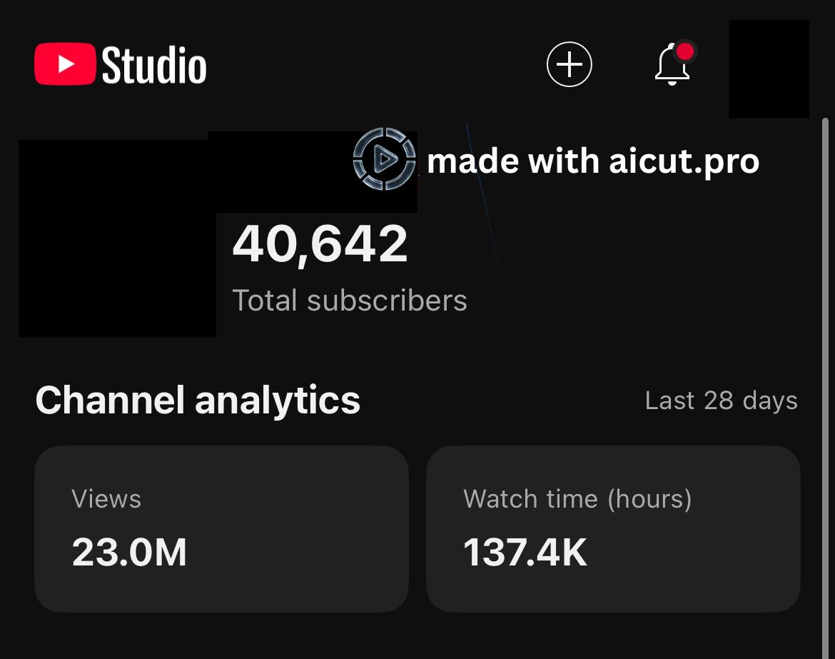 faceless video views results